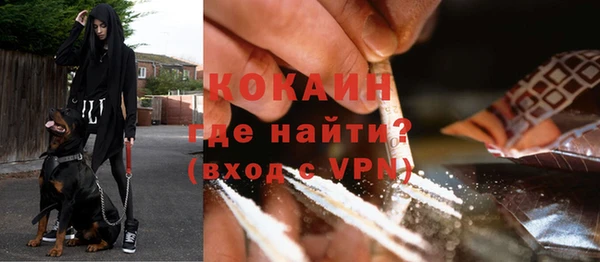 хмурый Арсеньев