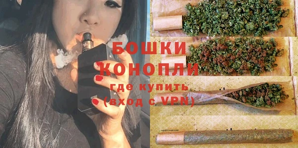 хмурый Арсеньев