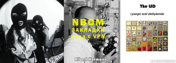 сатива Аркадак