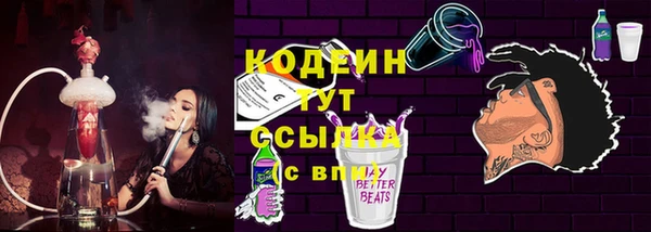 хмурый Арсеньев