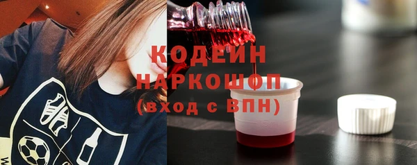 хмурый Арсеньев