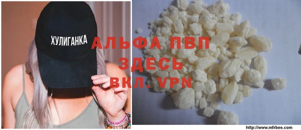 сатива Аркадак