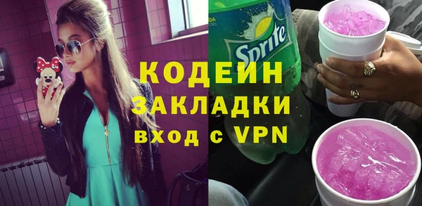 хмурый Арсеньев
