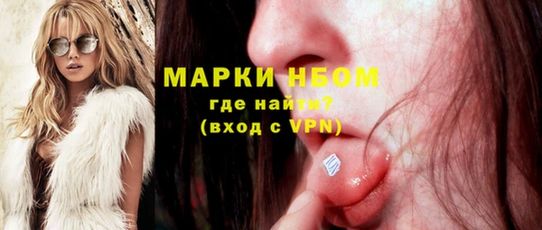хмурый Арсеньев