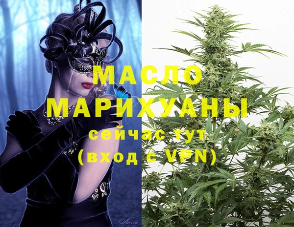 хмурый Арсеньев