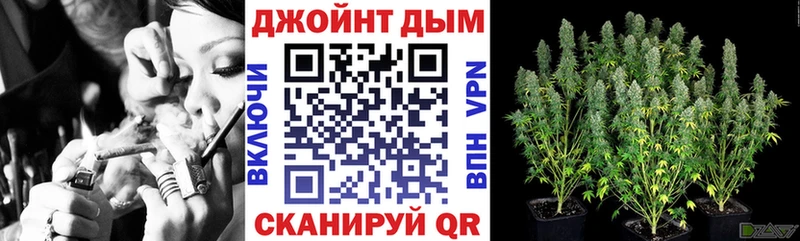 Канабис марихуана  как найти закладки  Новая Ладога 